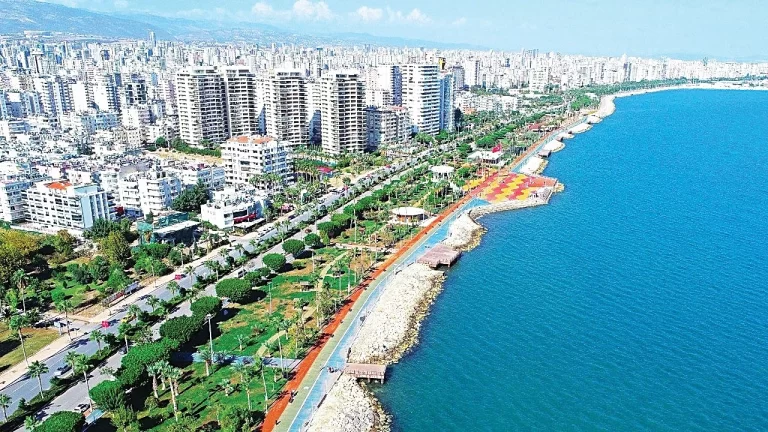 mersin akdeniz web tasarım