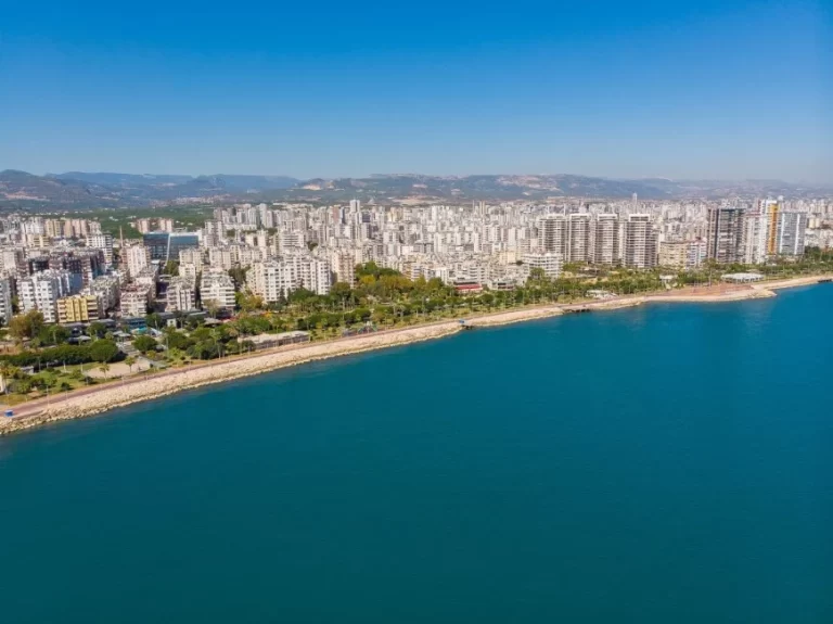 mersin mezitli web tasarım