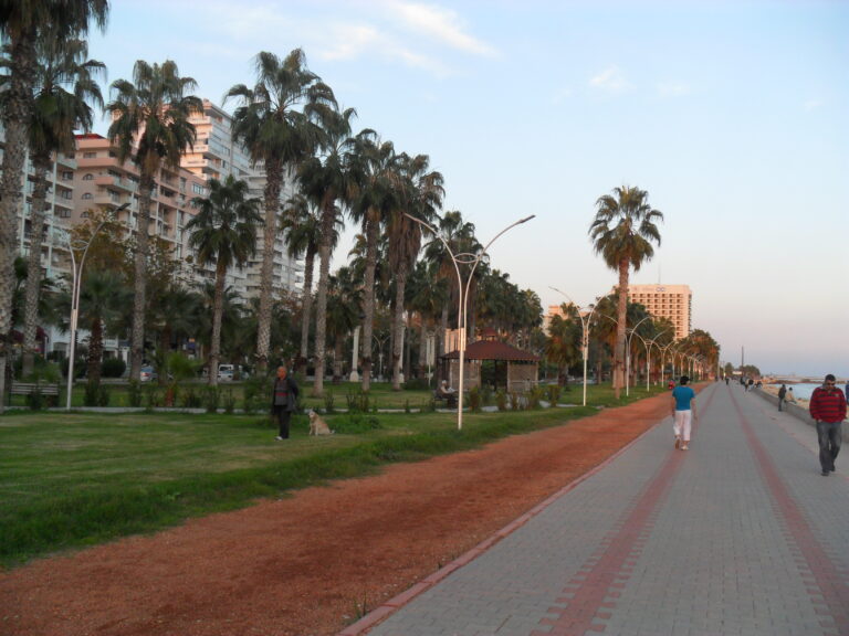 mersin yenişehir web tasarım